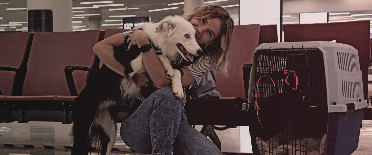 Air malta outlet travelling with pets